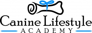Chameleon Logo